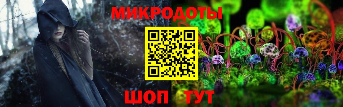 Галлюциногенные грибы Psilocybine cubensis  Вход с VPN  Сафоново  Псилоцибиновые грибы GOLDEN TEACHER 